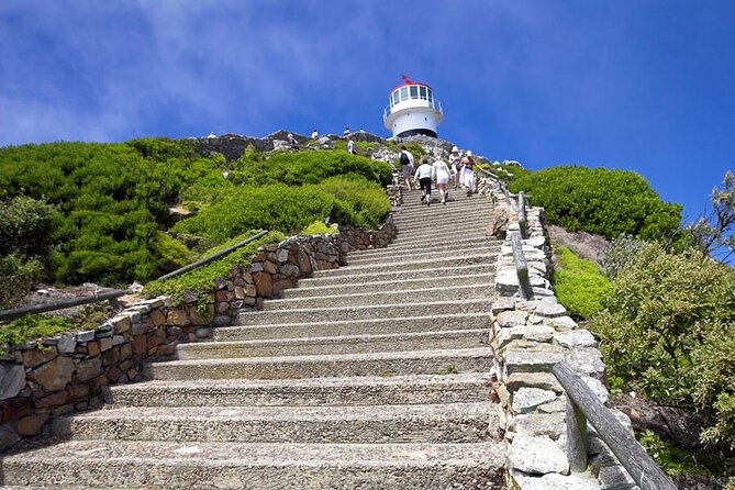 Private Guided Tour to Table Mountain and Cape Point with Penguin - Boulders Beach brings you close to African penguins