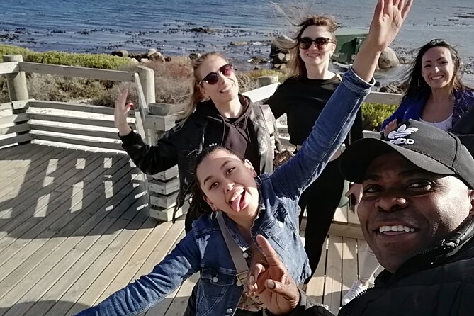 Private lovely journey to Penguins-Cape point-Cape of good hope - Boulders Beach and the African penguins
