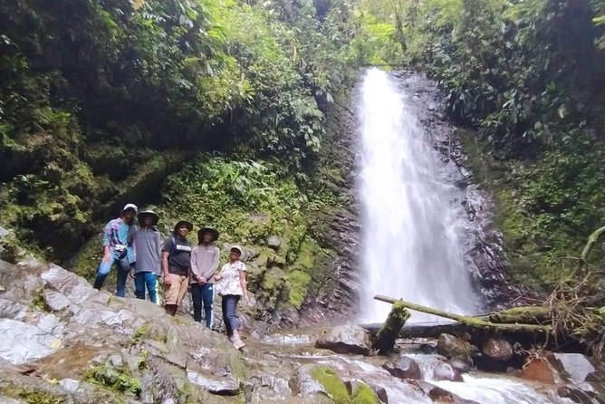 PRIVATE Mindo Cloud Forest tour - Should you book this private Mindo tour?