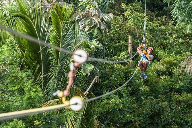 PRIVATE Mindo Cloud Forest tour - Nambillo Cloud Forest: cable car, trail, and waterfalls