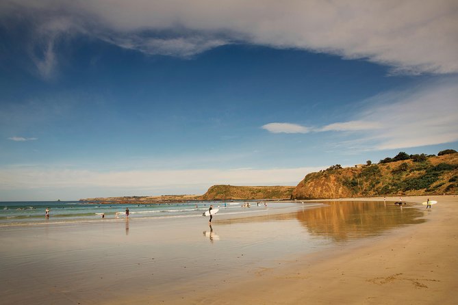 Private Phillip Island Penguin Parade Tour - Weather, clothing, and timing tips