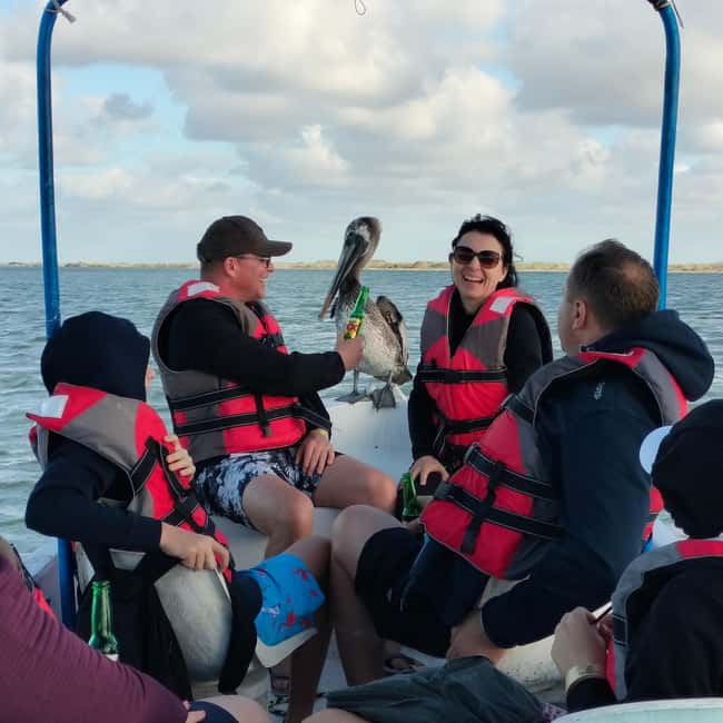Private Ría Lagartos Boat Tour: Flamingos & Crocodiles - Key points at a glance