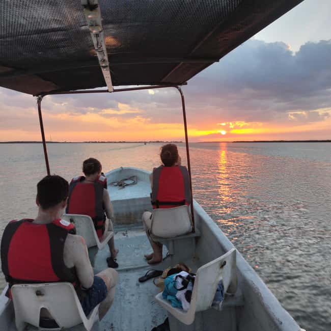 Private Ría Lagartos Boat Tour: Flamingos & Crocodiles - Why this Ría Lagartos boat trip feels different