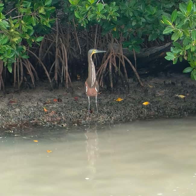 Private Ría Lagartos Boat Tour: Flamingos & Crocodiles - Rinsing off at a quiet beach