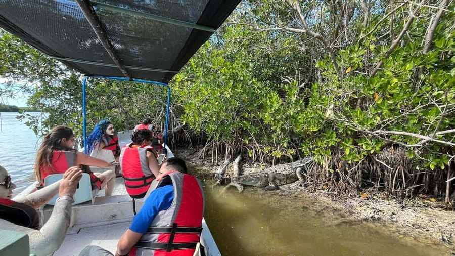 Private Ría Lagartos Boat Tour: Flamingos & Crocodiles - Setting out from the malecón