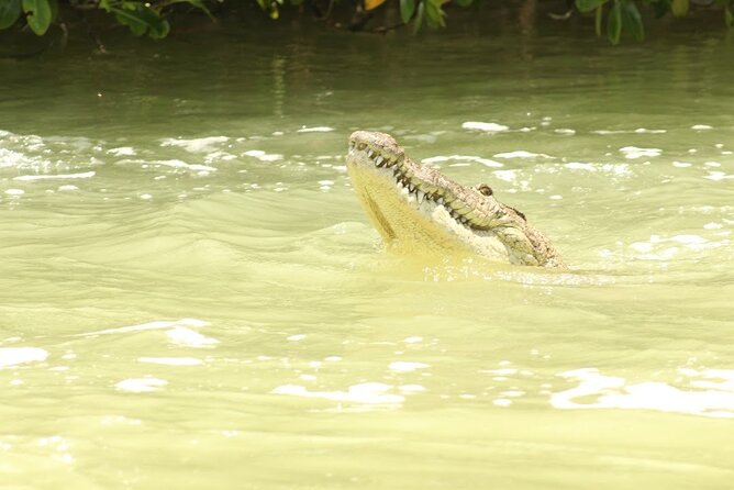 Private Rio Lagartos Flamingo and pink lakes - What the day does not include
