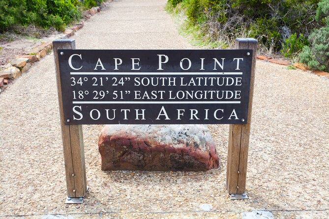 Private Table Mountain Penguins & Cape Point Tour from Cape Town - Camps Bay and Hout Bay: quick photos or an optional boat