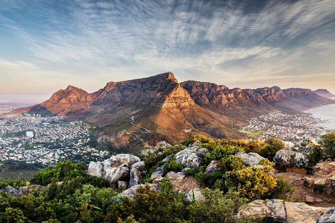Private Table Mountain Penguins & Cape Point Tour from Cape Town - Boulders Beach: an easy penguin encounter
