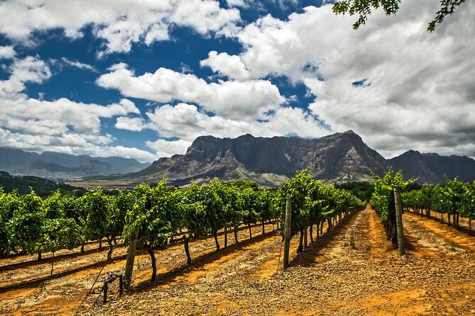 Private Table Mountain Penguins & Cape Point Tour from Cape Town - Is $170 a fair price?