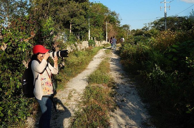 Private Tour: Birdwatching Cozumel Island - Weather, cancellations, and simple planning