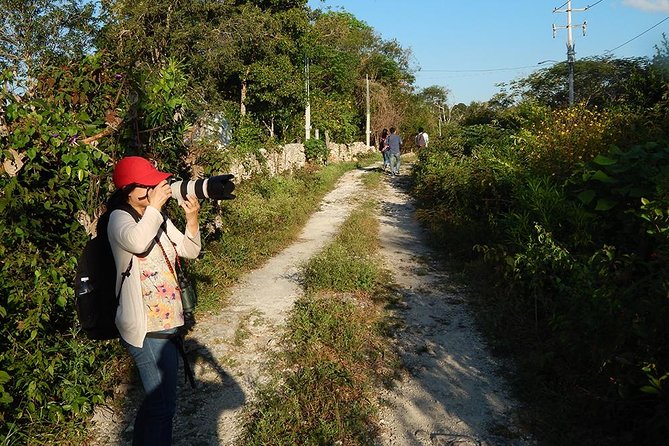 Private Tour: Birdwatching from Cancun - What you might see, and what you should not expect