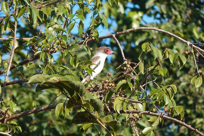 Private Tour: Birdwatching from Cancun - Cost and value for a private group