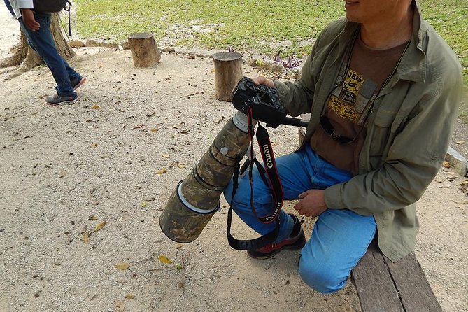 Private Tour: Birdwatching Playa del Carmen - Booking Advice for a Better Birding Morning