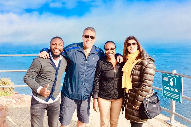 Private Tour: Boulders Beach Penguin Colony and Cape of Good Hope - Chapman’s Peak is the scenic high point