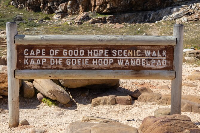 Private Tour: Cape of Good Hope and Boulders Beach Penguin Tour - Cape of Good Hope: the day’s main nature stop