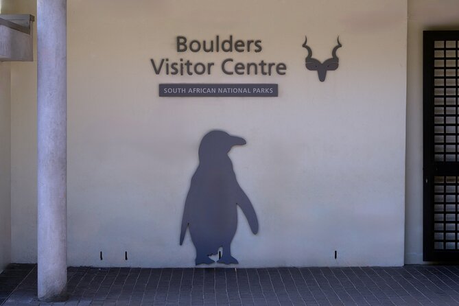 Private Tour: Cape of Good Hope and Boulders Beach Penguin Tour - Boulders Beach and the African penguin colony