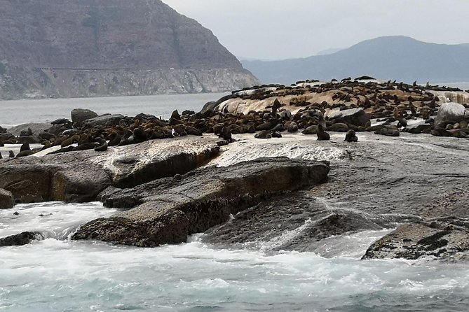 Private Tour: Cape of Good Hope Cape Point Penguins Kirstenbosch - Kirstenbosch adds a calmer hour
