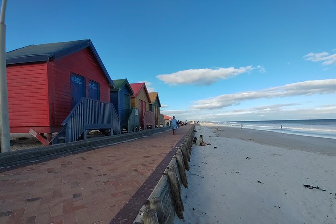 Private Tour : Cape of Good Hope,Penguin Colony& Muizenberg Beach - Chapman’s Peak Drive and the Atlantic coast