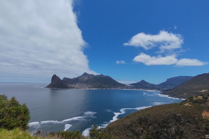 Private Tour : Cape of Good Hope,Penguin Colony& Muizenberg Beach - Feeding ostriches near Cape Point