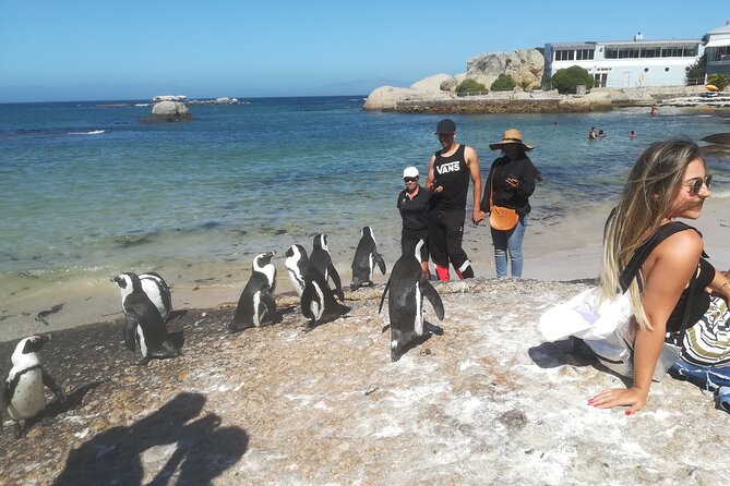 Private Tour : Cape of Good Hope,Penguin Colony& Muizenberg Beach - Reaching the Cape of Good Hope
