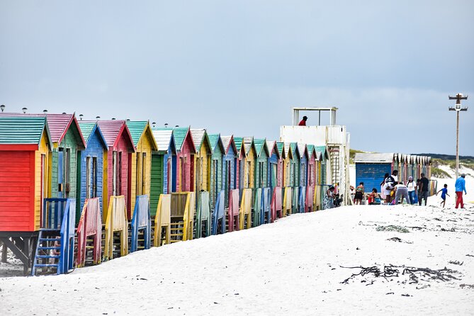Private Tour Cape of Good Hope & Penguins Sightseeing Full day - What the guides add to the day