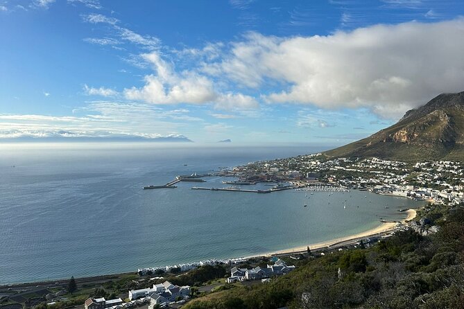 Private Tour Cape of Good Hope with Penguins - Cape Point, lighthouse views, and cheeky baboons