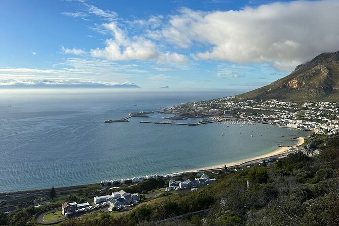 Private Tour Cape of Good Hope with Penguins - Boulders Beach and the African penguins