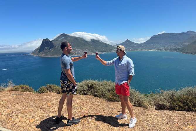 Private Tour: Cape Peninsula & Penguin Beach, Cape Point & more - Why this private Cape Peninsula day works
