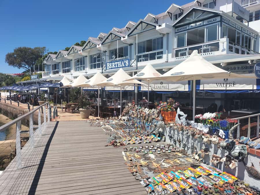 Private Tour: Cape Point, Penguins, Chapmans Peak & more... - Simon’s Town adds lunch and local character