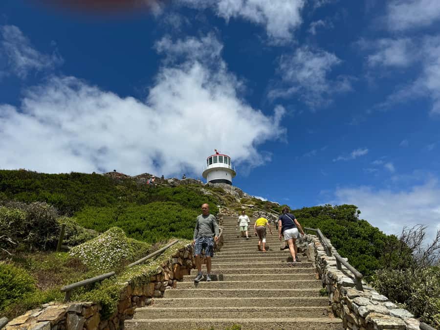 Private Tour: Cape Point, Penguins, Chapmans Peak & more... - Atlantic beaches and Maiden’s Cove