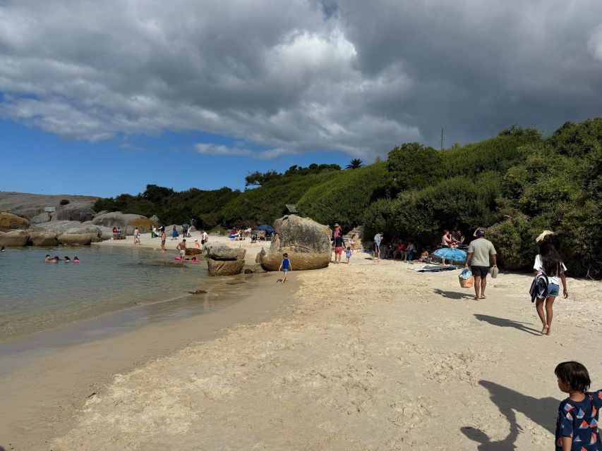 Private Tour: Cape Point, Penguins, Chapmans Peak & more... - Chapman’s Peak is the scenic centerpiece