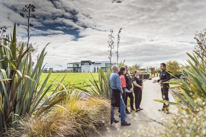Private tour from Auckland - Waitomo Glowworm Caves, Zealong Tea & Kiwi Bird - Key points at a glance