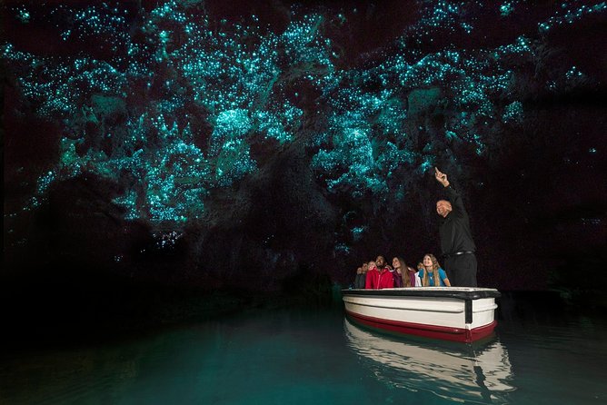 Private tour from Auckland - Waitomo Glowworm Caves, Zealong Tea & Kiwi Bird - Price, booking timing, and cancellation