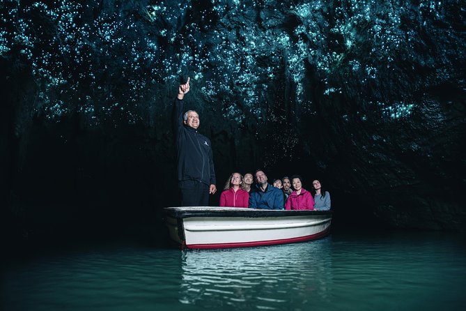 Private tour from Auckland - Waitomo Glowworm Caves, Zealong Tea & Kiwi Bird - The drive south from Auckland