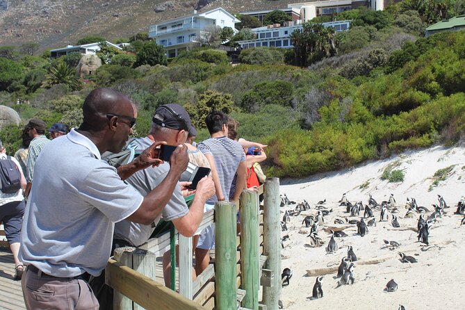 Private Tour from Cape Town To Cape of Good Hope Penguins Plus Wine Tasting F/D - Wine tasting and the sights between stops