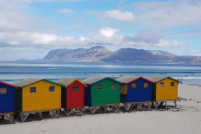 Private Tour Of Penguins, Cape Of Good Hope & Peninsula. - A full Peninsula day, not just a penguin stop