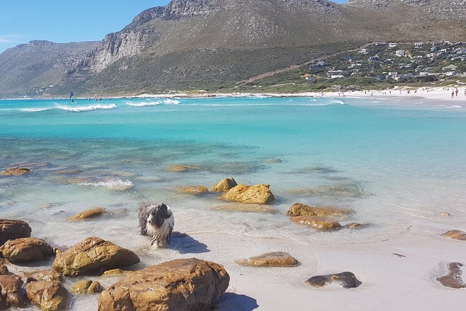 Private Tour Of Penguins, Cape Of Good Hope & Peninsula. - Simon’s Town adds history in a small dose