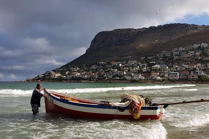 Private Tour Of Penguins, Cape Of Good Hope & Peninsula. - Cape Point and the Cape of Good Hope need your best attention