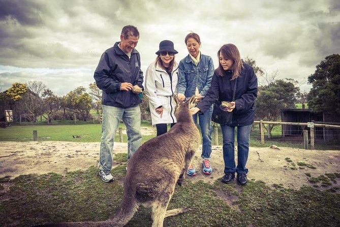 [Private Tour] “Penguin Parade” Phillip Island Tour. - Food planning matters more than it first appears