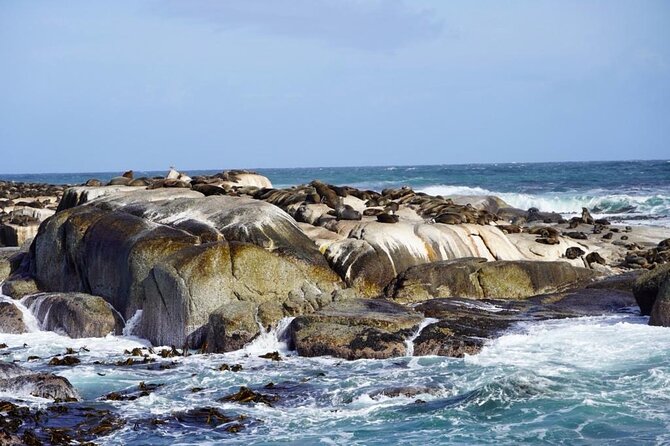 Private Tour: Penguins, Cape Point and Cape of Good Hope - Cape Point lighthouse and the Flying Dutchman