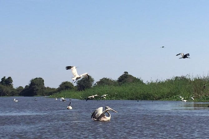 Private Tour Prek Toal Bird Sanctuary Off Beaten Track - Key points to know before booking