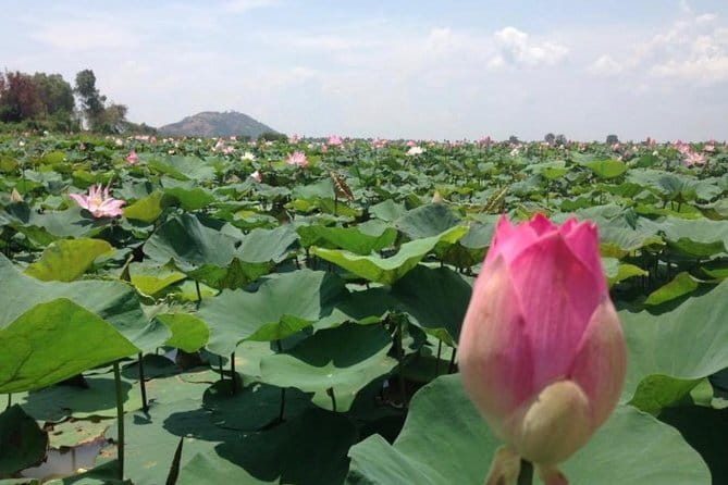 Private Tour Prek Toal Bird Sanctuary Off Beaten Track - The boat ride through Machrey and Prek Toal villages