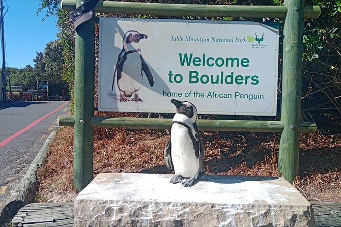 Private Tour: Table Mountain Boulder's Beach Penguin Cape Point - Chapmans Peak Drive and weather rules