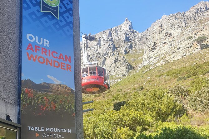 Private Tour: Table Mountain Boulder's Beach Penguin Cape Point - Cape Point Nature Reserve and the Cape of Good Hope