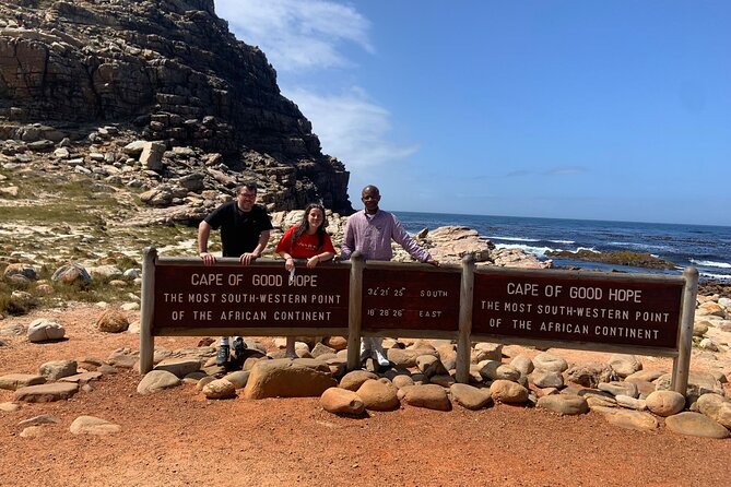 Private Tour: Table Mountain Boulder's Beach Penguin Cape Point - Boulders Beach and the African penguins