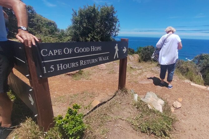 Private Tour:,Table Mountain ,Cape of Good hope & Penguins colony - Hout Bay’s harbour and optional seal trip