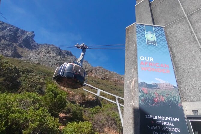 Private Tour:,Table Mountain ,Cape of Good hope & Penguins colony - The Cape of Good Hope’s windswept edge