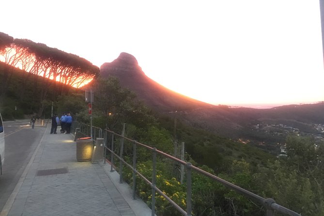 Private Tour: Table Mountain, Penguin Colony & Cape of Good Hope incl. Park Fees - Wine tasting at Cape Point Vineyards