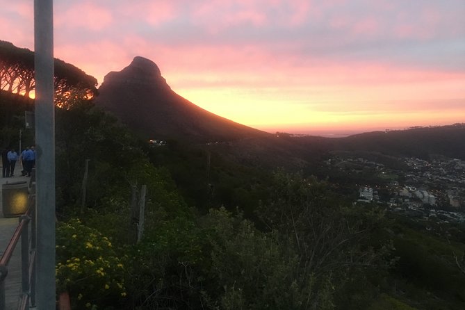 Private Tour: Table Mountain, Penguin Colony & Cape of Good Hope incl. Park Fees - Cape of Good Hope and Cape Point
