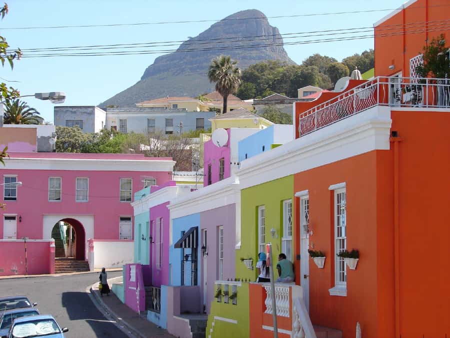 Private Tour: Table Mountain, Penguins Colony & Cape Of Good - Who should book this Cape Town tour?
